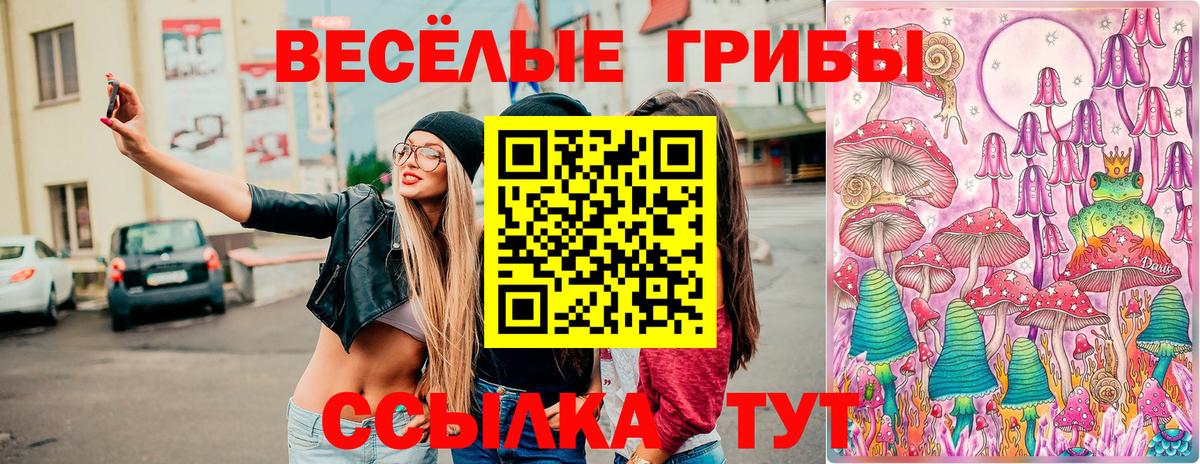 Псилоцибиновые грибы ЛСД Сибай